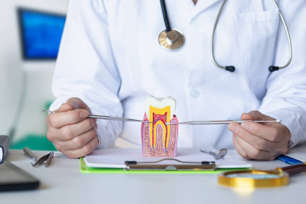 Best Emergency Dentist Near Me  in Moundridge, KS